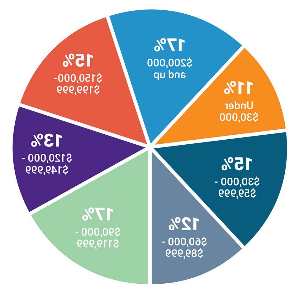  Breakdown of students by income pie chart for 2024